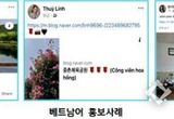광양시, 2025 외국어 기자단 모집