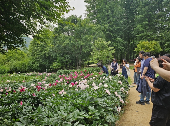 인천광역시교육청주안도서관, 직원 대상 인천길탐방 프로그램 성료