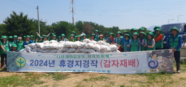새마을운동 하남시지회, 사랑의 감자 수확·나눔 행사