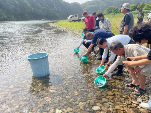 홍천군, 어족자원 보존을 위한 뱀장어 종자 방류