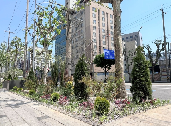 다양한 초화류를 식재한 영중로 띠녹지 모습