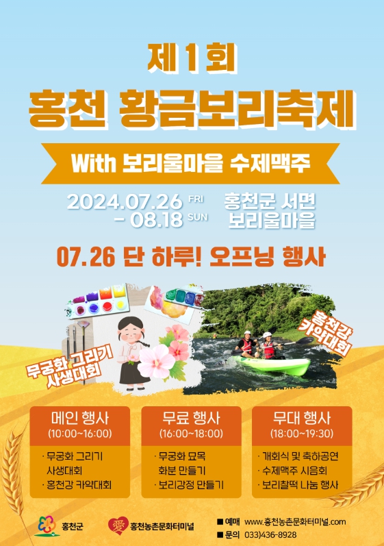 홍천 황금보리축제, 여름 밤을 황금빛으로 물들이다ㅍ
