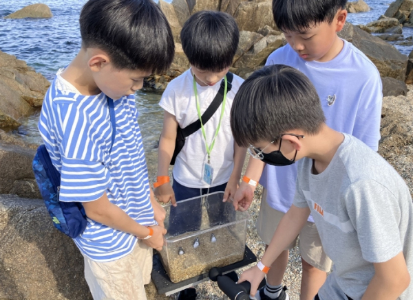 대구동부교육지원청, 하계 초등 영재캠프 운영